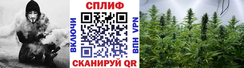 где найти наркотики  Обоянь  Бошки марихуана индика 